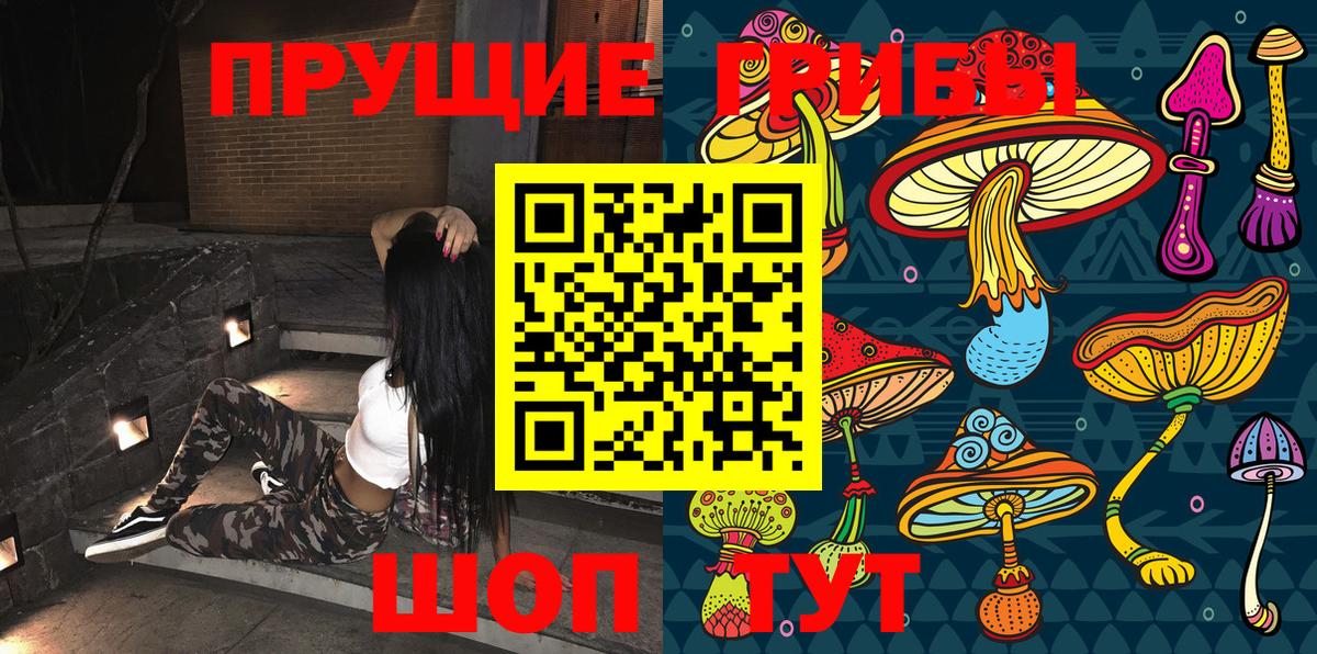 Псилоцибиновые грибы GOLDEN TEACHER  Псилоцибиновые грибы Cubensis  Вход с VPN  Люберцы 