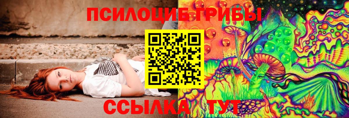 Галлюциногенные грибы Psilocybe Люберцы